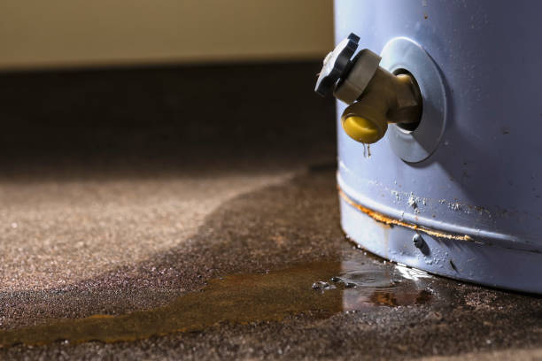 Best Mold removal after water damage  in Hlside, IL