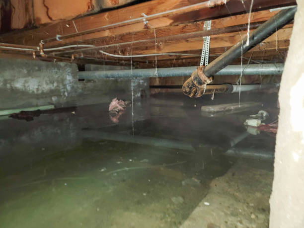 Water damage restoration insurance claims in IL