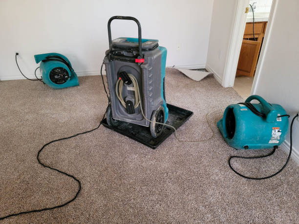 Best Basement water damage restoration  in Hlside, IL