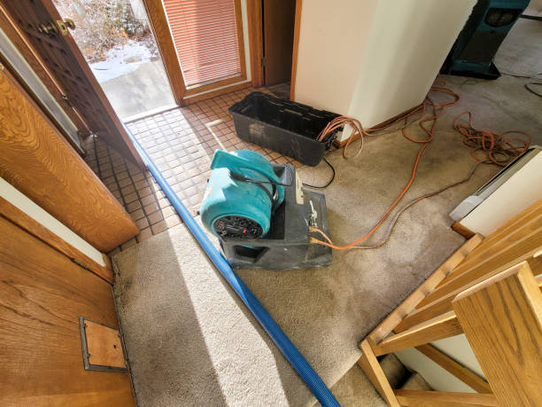 Best 24-hour water damage restoration  in Hlside, IL
