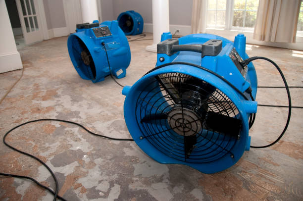 Best Mold removal after water damage  in Hlside, IL