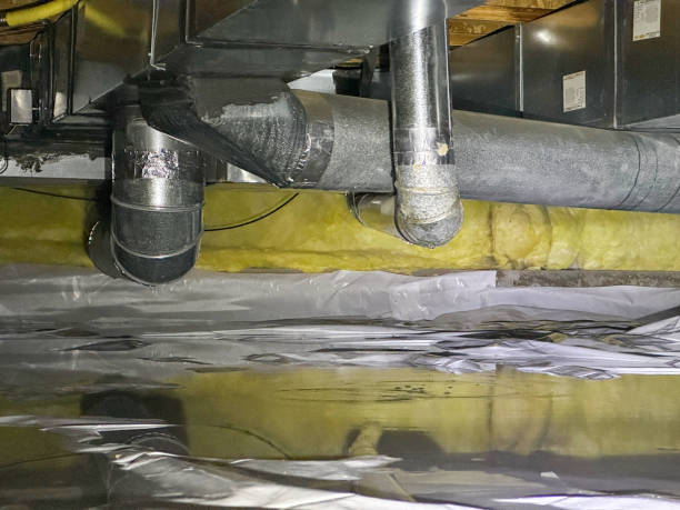 Best Flood restoration services  in Hlside, IL