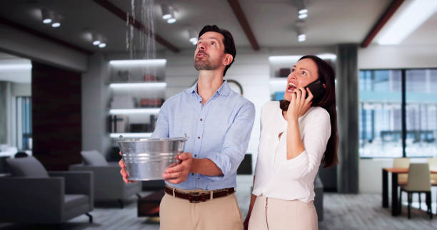 Best 24/7 water damage repair  in Hlside, IL