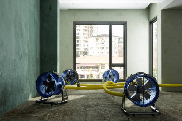 Best Sewage cleanup and water damage restoration  in Hlside, IL