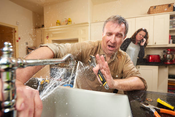 Best Sewage cleanup and water damage restoration  in Hlside, IL